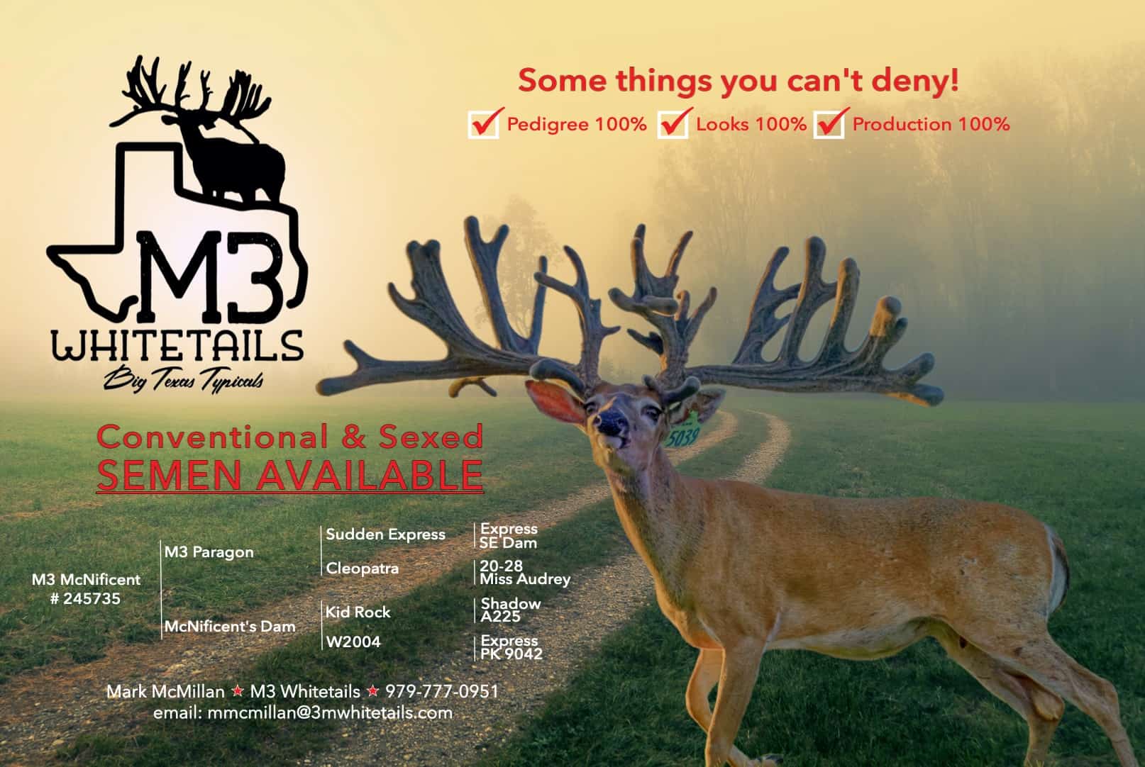 M3 Whitetails are Texas deer breeders that specialize in raising and selling whitetail Breeder Bucks, whitetail DMP Bucks, whitetail Stocker Bucks, as well as open and bred whitetail does. Big Texas Typicals are what buyers want when buying Texas DMP Bucks, Stocker Bucks, and Breeder Bucks. Our whitetail deer for sale are sure to impress prospective buyers and are priced competitively.