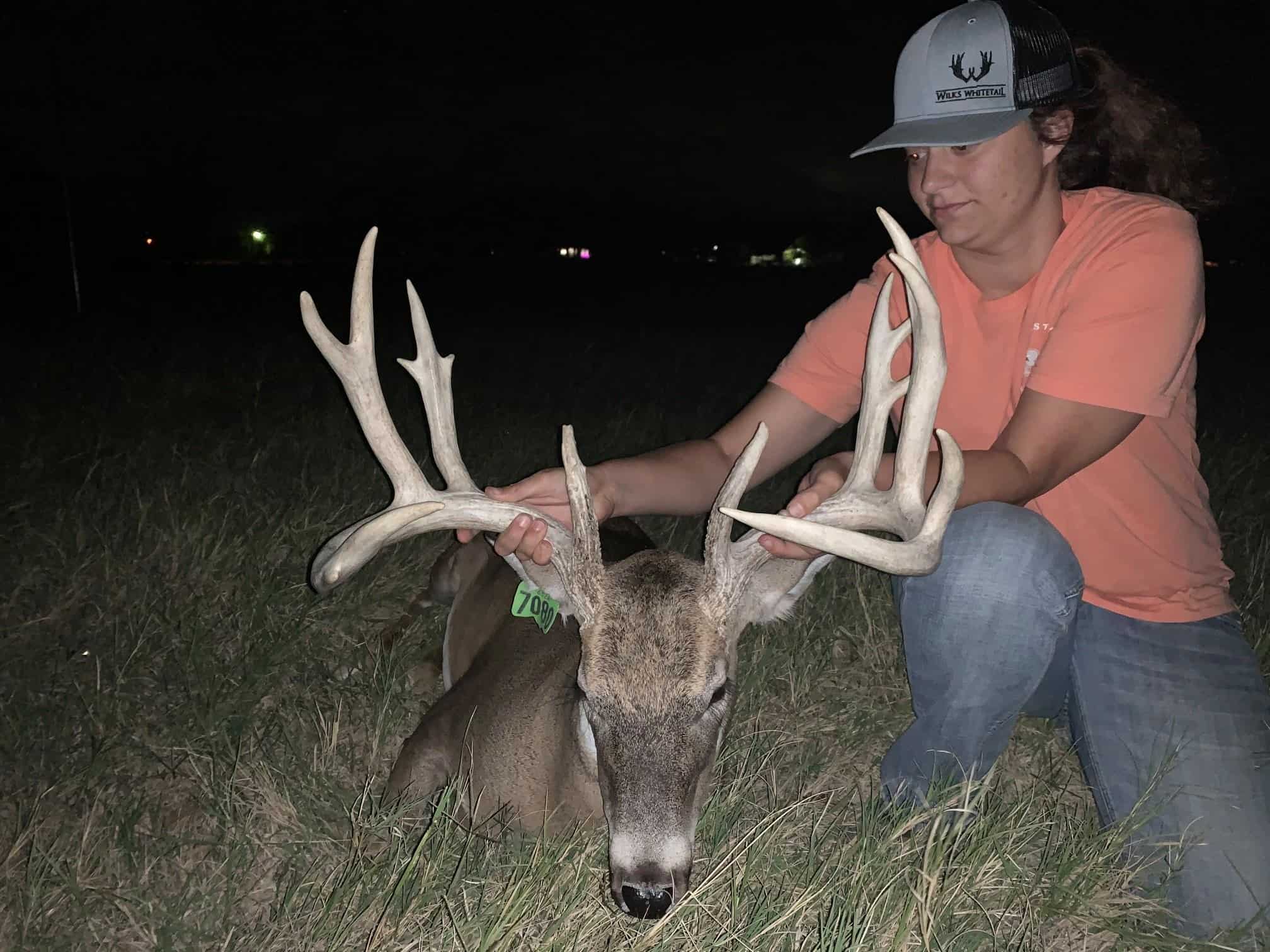 M3 Whitetails are Texas deer breeders that specialize in raising and selling whitetail Breeder Bucks, whitetail DMP Bucks, whitetail Stocker Bucks, as well as open and bred whitetail does. Big Texas Typicals are what buyers want when buying Texas DMP Bucks, Stocker Bucks, and Breeder Bucks.  Our whitetail deer for sale are sure to impress prospective buyers and are priced competitively.