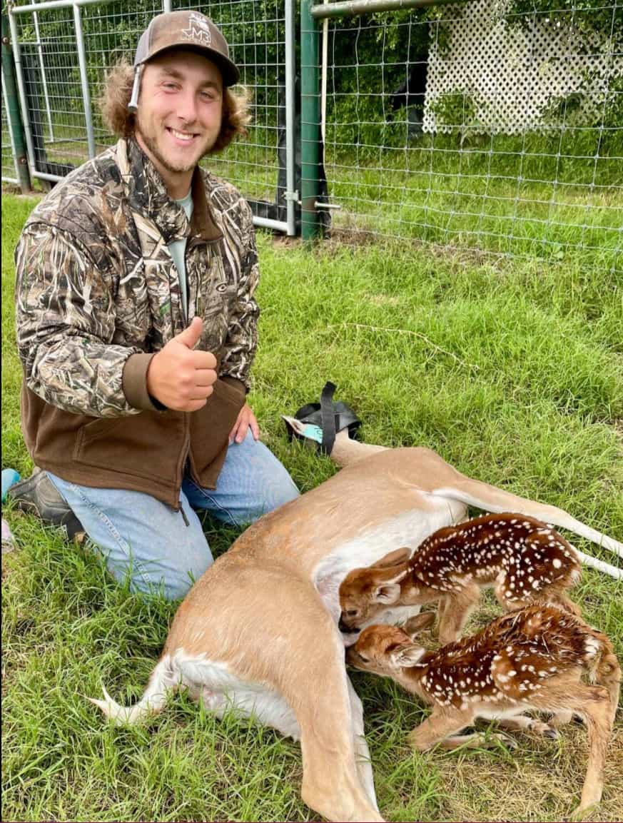 M3 Whitetails are Texas deer breeders that specialize in raising and selling whitetail Breeder Bucks, whitetail DMP Bucks, whitetail Stocker Bucks, as well as open and bred whitetail does. Big Texas Typicals are what buyers want when buying Texas DMP Bucks, Stocker Bucks, and Breeder Bucks. Our whitetail deer for sale are sure to impress prospective buyers and are priced competitively.